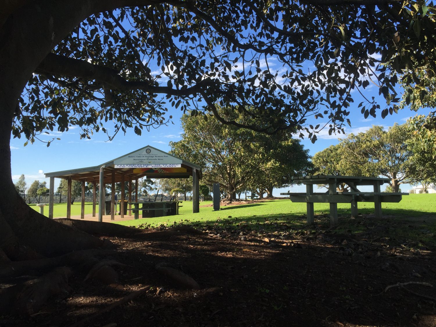 corporate-health-hastings-atticus