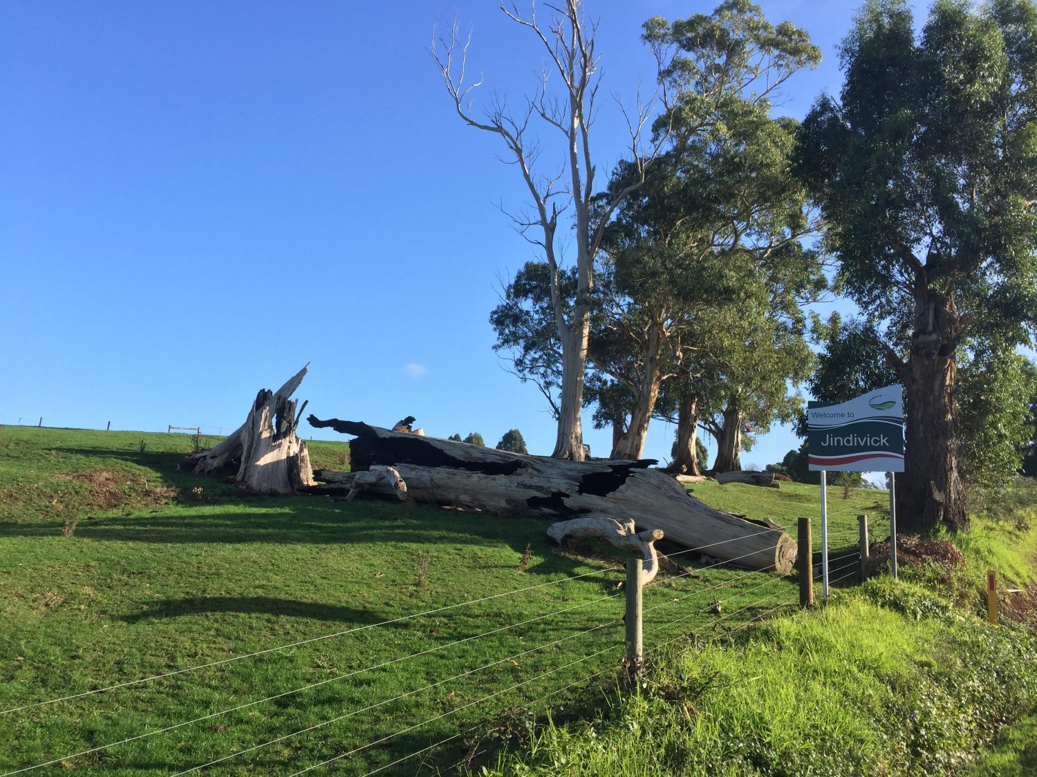 gp-clinics-melbourne-jindivick-atticus