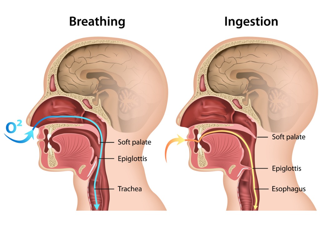 Stuffy Nose Diagram