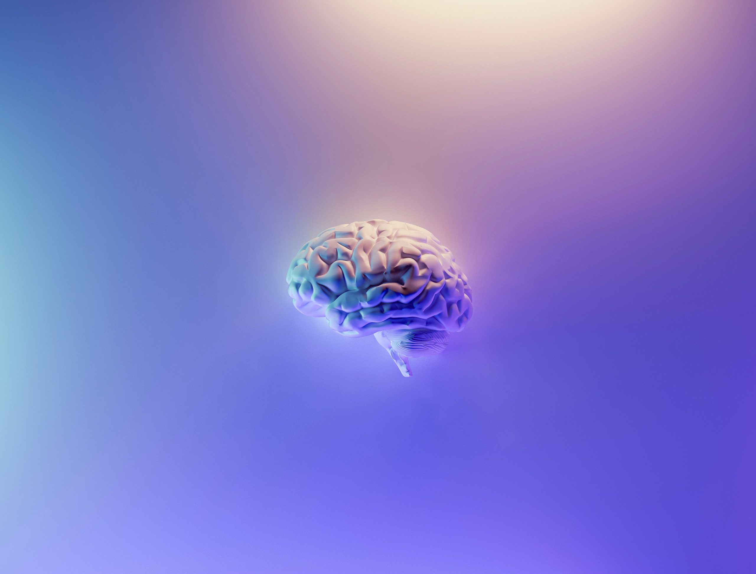 Protect your Brain this National Stroke Week